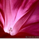 동강사진박물관 이미지