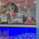 다둥이카 서비스 | 부천대형키즈카페::플레이월드::가격,수유실,어트랙션,할인,식사