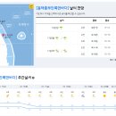 2023년 2월 12일(일요일) 11:00 현재 대한민국 날씨정보 및 기상특보 발표현황 (울릉도, 독도 포함 - 기상청발표) 이미지