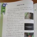 지아지문