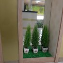 고양연세의원 이미지