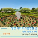 양평 아이와 가볼만한곳 그린망고 카페