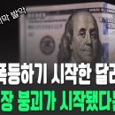 달러폭등과 신용시장붕괴가 시작됐다 이미지