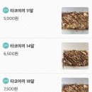 사이코우타코야끼전북대점 이미지