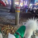 털보상회 - 미추홀구 낙섬중로32번길 5 | 털보상회