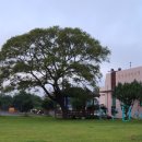 종달리경로당 이미지