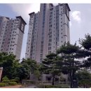 용이푸른약국 이미지