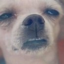 세계로빌딩 이미지