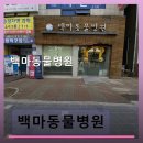 백마동물병원