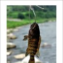 도원펜션 이미지