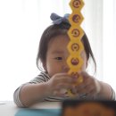 위즈넷 - 고양시 덕양구 | 블럭쌓기게임 놀이에 수학게임까지 되는 플루고 위즈팩