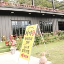 최가구이 이미지