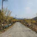 예곡마을회관 이미지