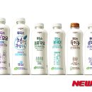 일동후디스(주) 이미지
