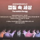 게임넷 | 머더 미스터리 보드게임 후기ㅣ껍질 속 세상ㅣ8-9인용 명작 머미 추천