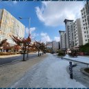 코뿔소공인중개사사무소 이미지