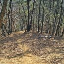 왕자산 Daum카페