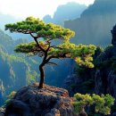 선산빌딩 이미지