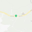 제주애견카페왈 구억점 이미지