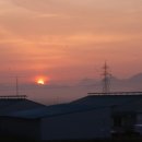 아침축산 이미지