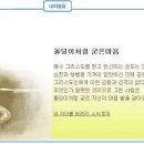 일일예화말씀묵상 2018년1월 30일 (화) -영적 성장 이미지