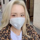 박**-19 이미지