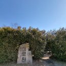 [경기여주] 여주 가볼만한 곳- 황학산 수목원 무료 입장 후기