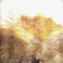 블루동물종합병원 이미지