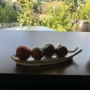 홍예민박 이미지