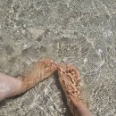 드림힐 | 제주 암요양병원 드림힐 네이쳐테라피로 요양한 후기