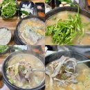 부산 망미동 맛집 현지인 추천 돼지국밥 영진돼지국밥 코스트코센텀점
