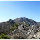 10월 16일 일요당일 - 영남알프스 9산 인증 신불산 + 간월산 2산 산행안내 - 신청하기 이미지