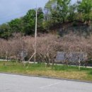 도 경계 도화동산 이미지