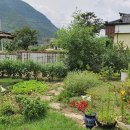 뉴전원공인중개사사무소 이미지