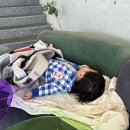 킹핏 이미지