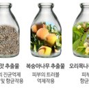 아토펫 이미지