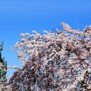 지장사왕도 이미지