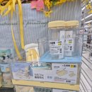 콜렉트 명동 | 내돈내산 2025 2월 다이소 봄봄 시리즈, 봄집단장 시리즈- 폼 미쳤다! 품절대란