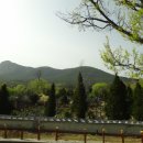 숲속의작은마을 이미지