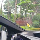 서울이용권 이미지