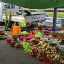 금락2리 이미지