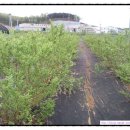 세윤농장 이미지