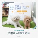 냄새나는 강아지 배변패드 고민 끝! 씻어쓰는 누기패드 사용후기