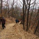 안곡초등학교 이미지