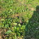 명운농장 이미지