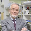 일본박사 이미지