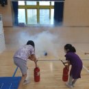 덕진-119 이미지