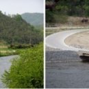 인삼골오토캠핑장 이미지