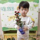 사랑의꽃집