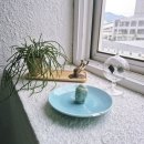 (주)공감 | 의정부 사주 상담 MUWI 무위 방문 후기, 대화와 공감으로 풀어낸 가족 사주